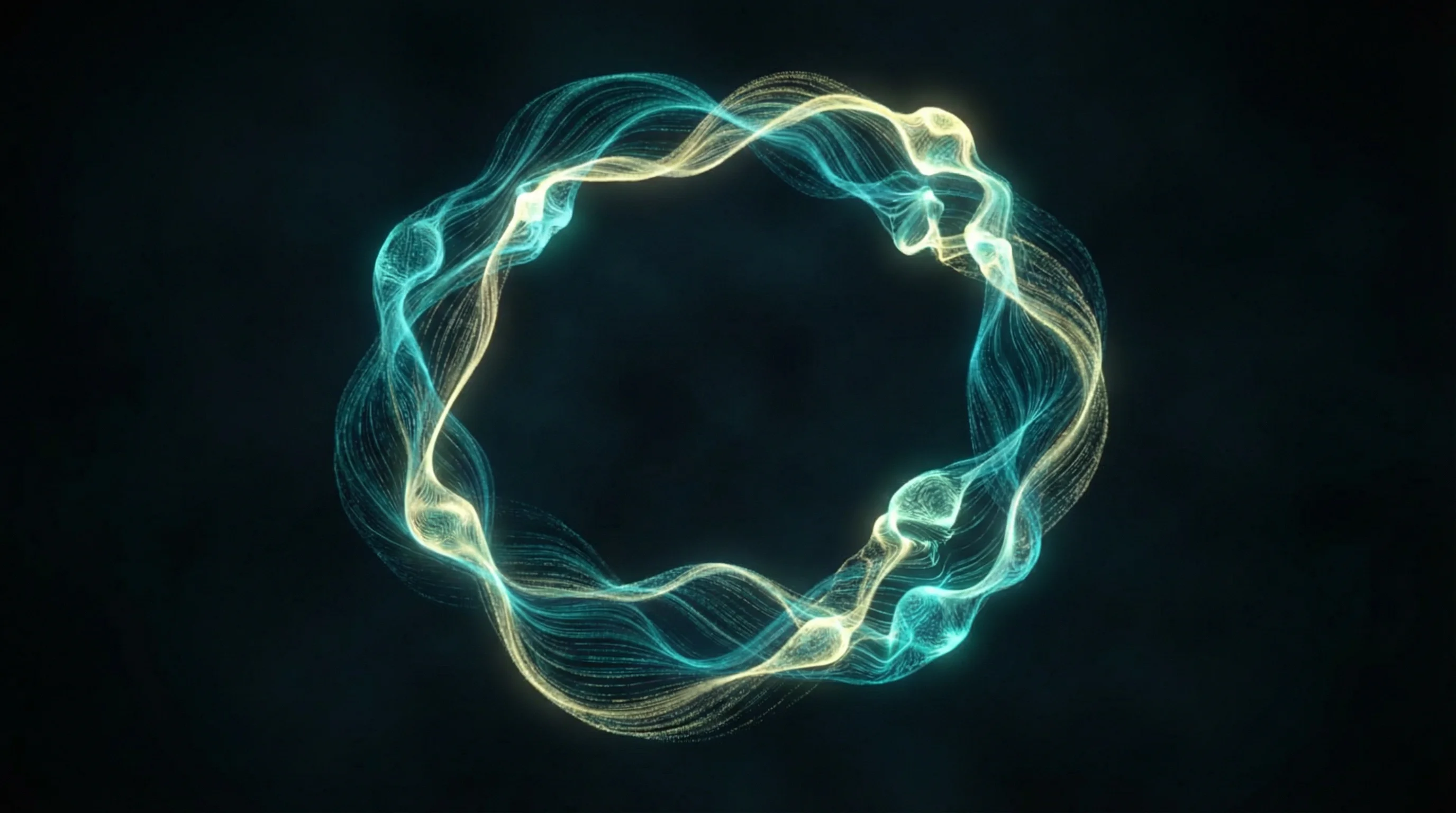 Organizational Learning Cycle